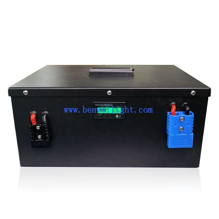 lion lithium battery