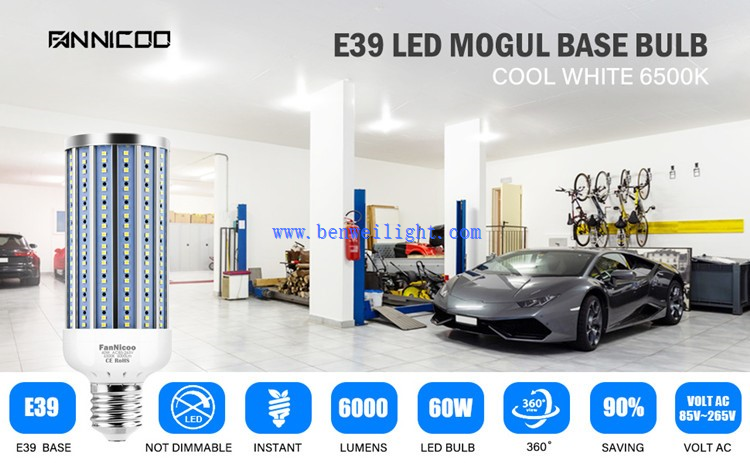 E39 E39