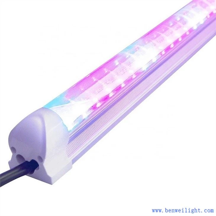 B Coltiva l'illuminazione