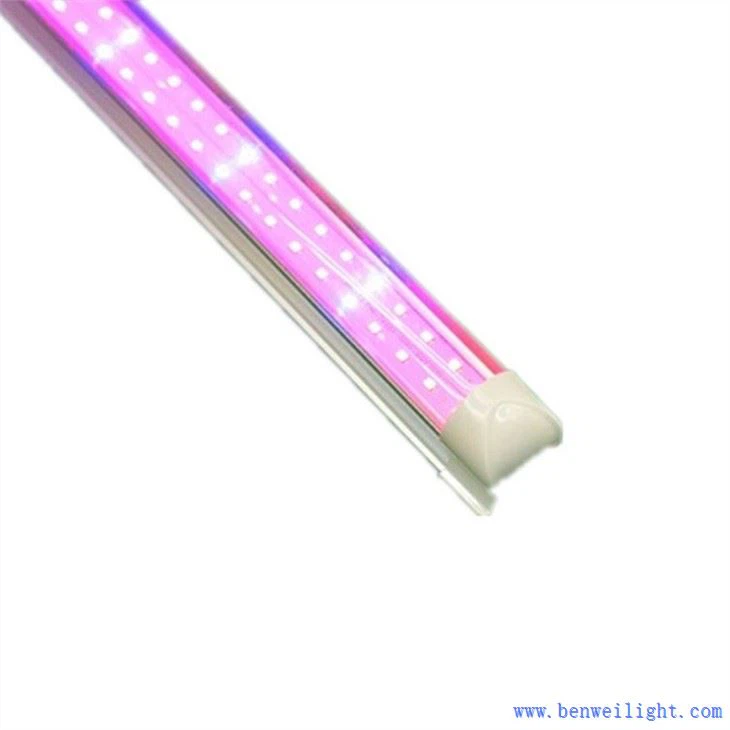 Deposito di luce crescente