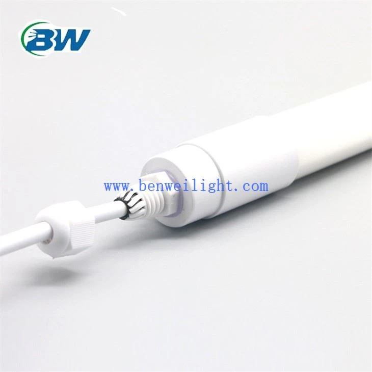 led lights for poultry house