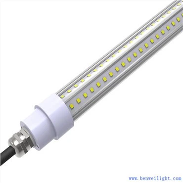 Lampadine a LED per pollaio
