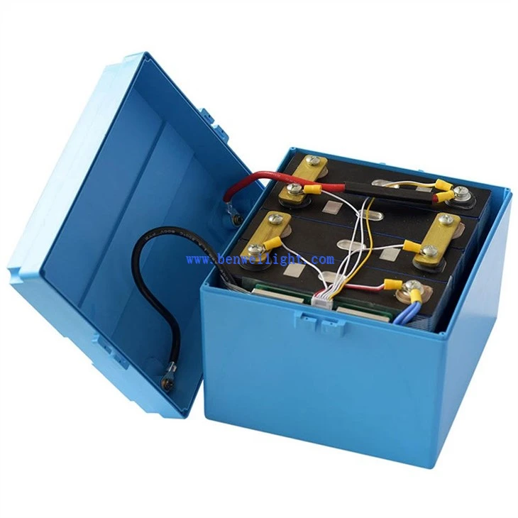 Batteria agli ioni di litio da 100 Amp ore