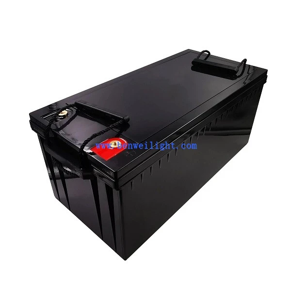 Batteria agli ioni di litio 24v