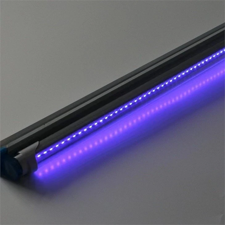 Ultraviolet Fly Trap