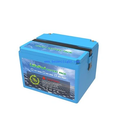 Batteria al litio LiFePO4 da 12 V 100 Ah a ciclo profondo