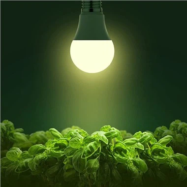 A19 coltiva la lampadina