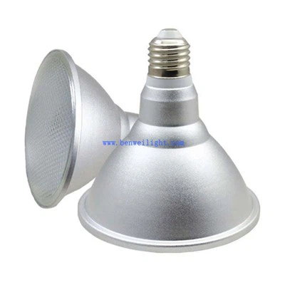 Luce PAR LED IP65