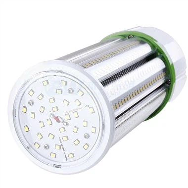 Lampadina a base di magnate