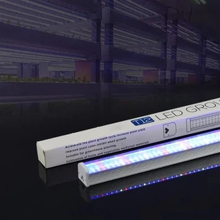 Tubo luminoso per coltivazione T12