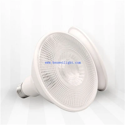 Luce LED PAR 30 impermeabile da 15W