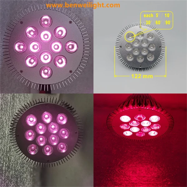 InfraGlow Red & Infrared Light Therapy suppliers