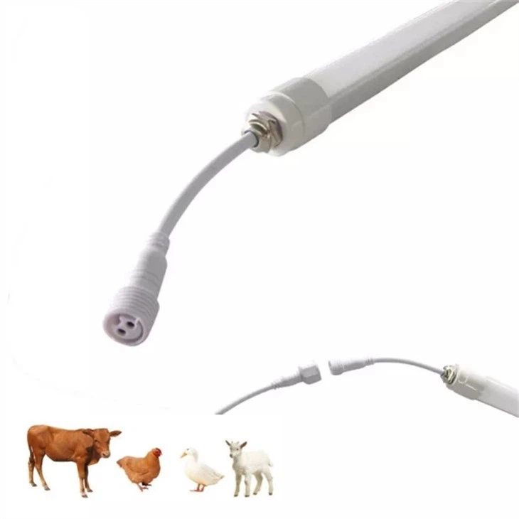 Luce per l'allevamento del bestiame