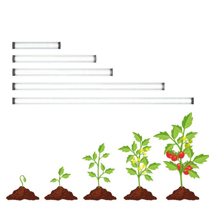Full Spectrum T5 LED Grow Lights For Hydroponics