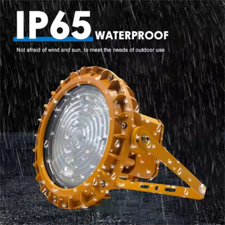 explosion proof led lights