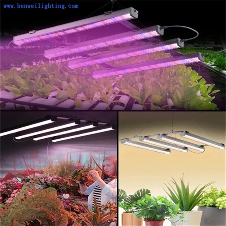 full spectrum led grow lights