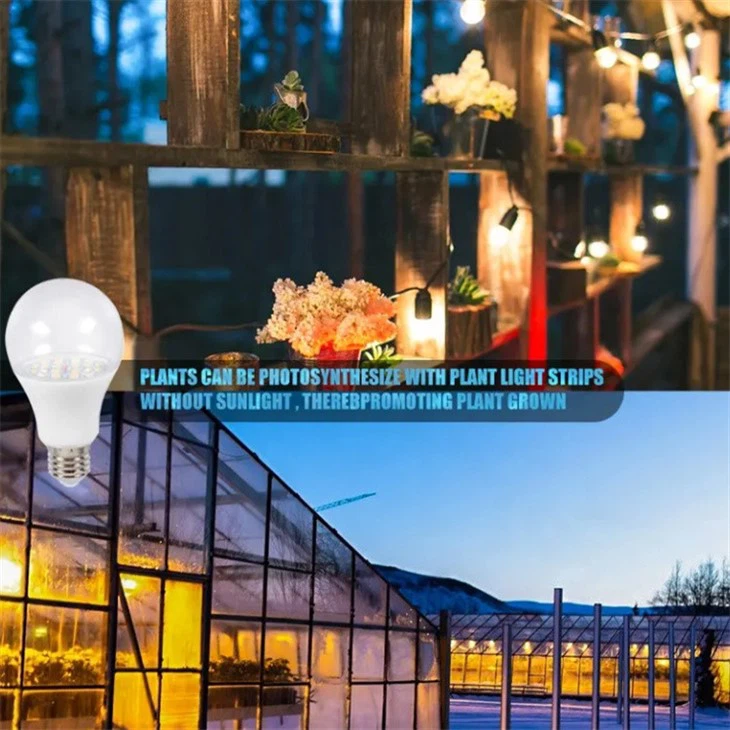 best led grow lights