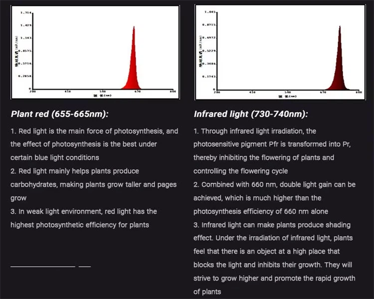 grow lights for houseplants grow lights for houseplants