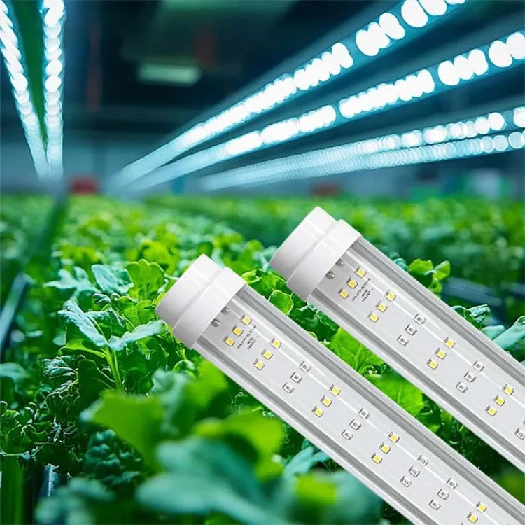 plant grow light plant grow light