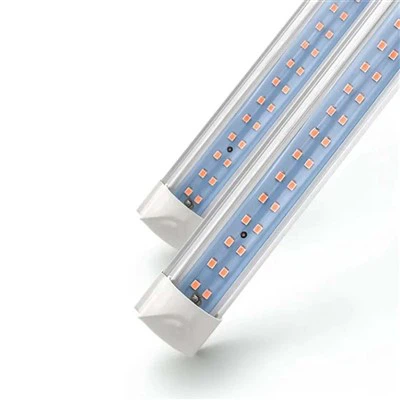 Le migliori luci progressive per piante da interno