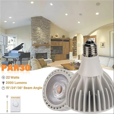 Lampadina LED Faretto PAR30 COB da 30 Watt (200 Watt Eqv.) Lampadine Proiettore da 3000 Lumen