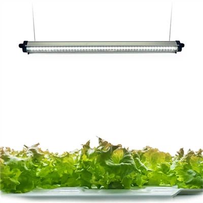 Lampada da coltivazione a LED, luce per piante a spettro completo a 3-rosso-blu-bianco