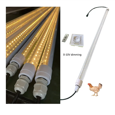 Illuminazione per pollame con diodi-emettitori di luce