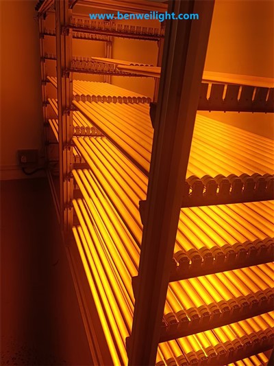 Schermo T8 UV e luce blu: blocca i raggi inferiori a 500 nm