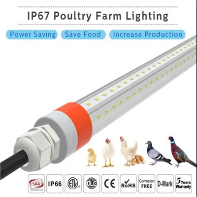 Illuminazione impermeabile IP67 per attrezzature per pollame, luce LED commutabile a doppio colore rosso e bianco-per allevamenti di pollame.