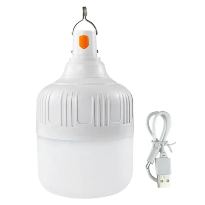 Lampadina ricaricabile USB C con telecomando, lampada alimentata a batteria da 7 W