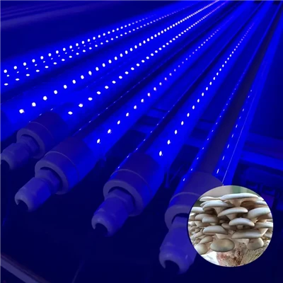 Tubo UVA UVC T8 T5