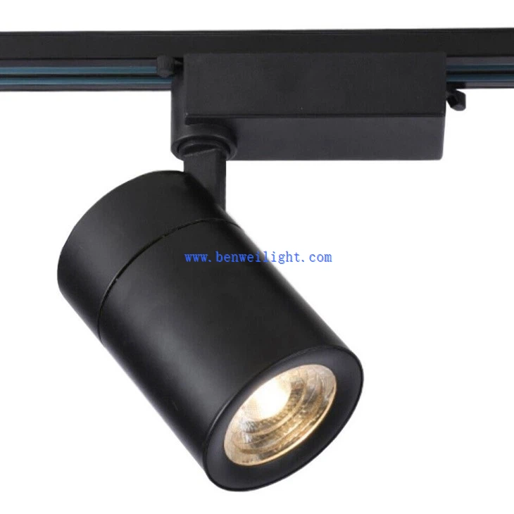Track Lighting For Storefront Decoration (1)