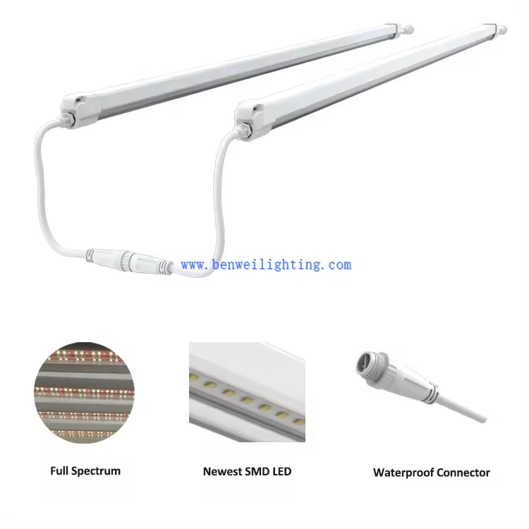 Plant lighting LED 9 Plant lighting LED 9